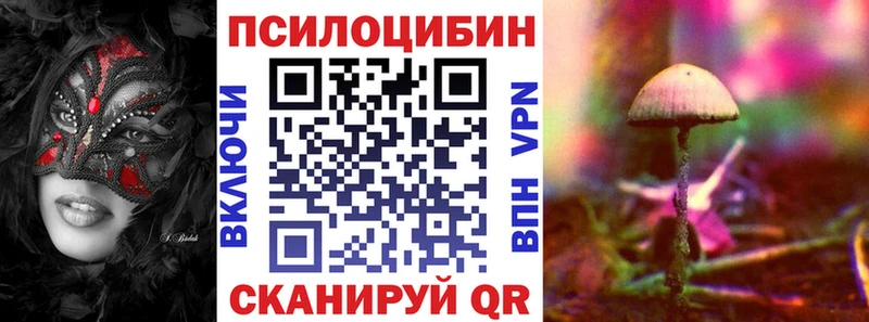 MEGA ТОР  Эртиль  Псилоцибиновые грибы Magic Shrooms 